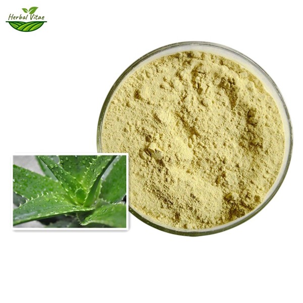 aloe-vera-extract-powder-1.jpg