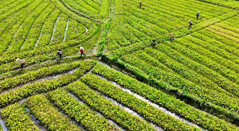 /uploads/image/2025/07/31/heat-deflector.jpg heat-deflector.jpg