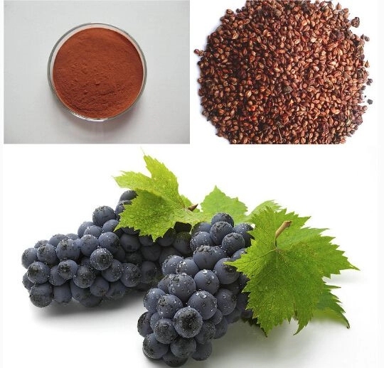 Common Skin Care Ingredient - The Grape Seed Extract