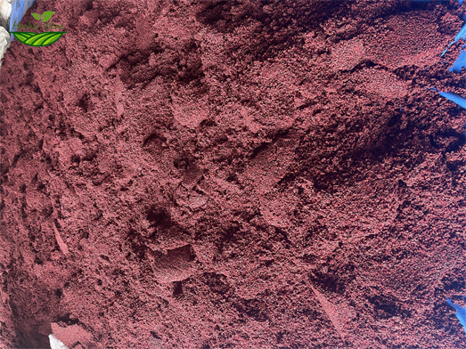 Dried raw material Schisandra shipping to Europe 1 Dried raw material Schisandra shipping to Europe 1