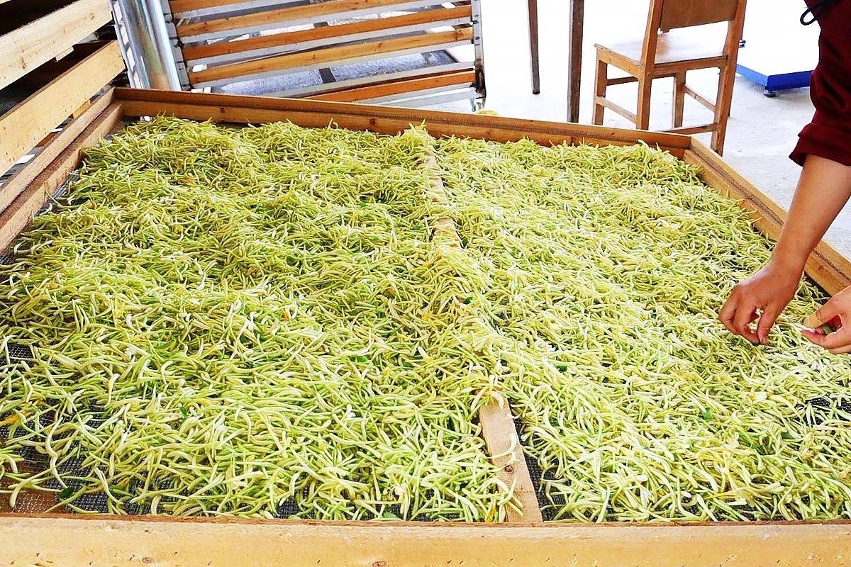 Honeysuckle After the Epidemic-A Brief Discussion on the Future Market Trend