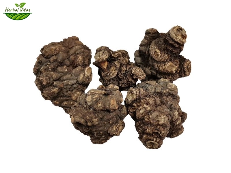 How to View the Rising Market of Ligusticum Chuanxiong