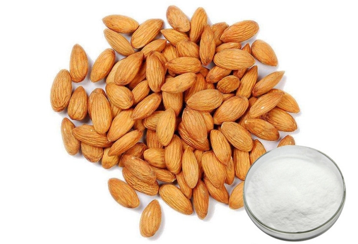 Introduction to the Main Components and Value of the Plant Bitter Almond Extract