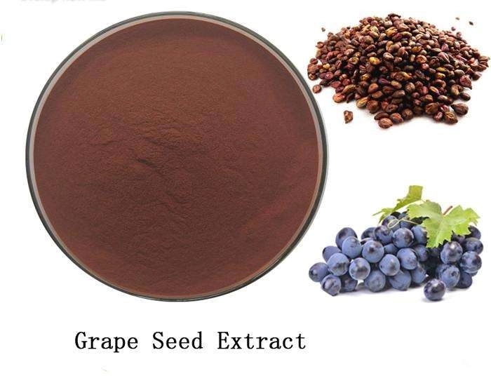 Taking Grape Seeds Helps to Keep“girl’s Skin” Taking Grape Seeds Helps to Keep“girl’s Skin”