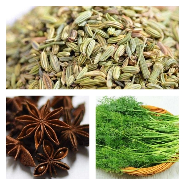 The Differences among Anise, Fennel Fruit and Fennel The Differences among Anise, Fennel Fruit and Fennel