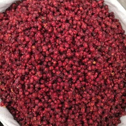 The Fresh Schisandra Fruit in The Our Place of Origin Has Been Fully Produced