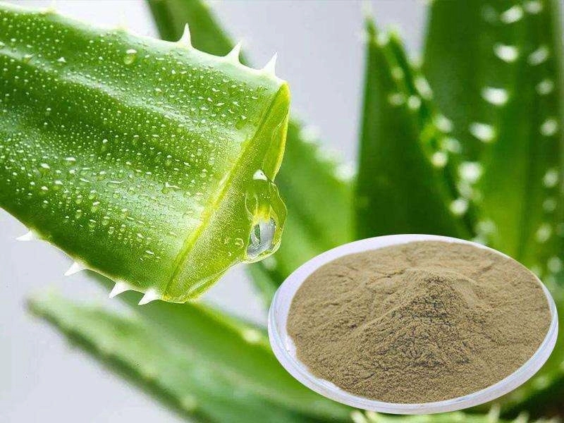 The Functions of Aloe Vera Powder