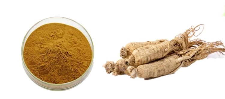 The Functions of Ginsenoside