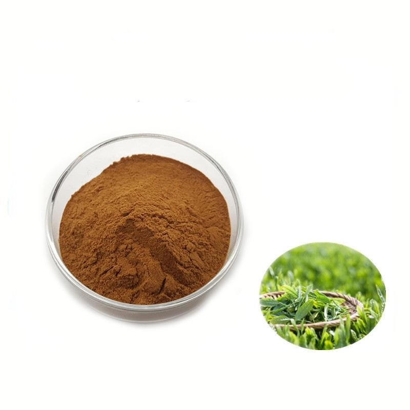 The Role of Green Tea Extract in Skin Care Products