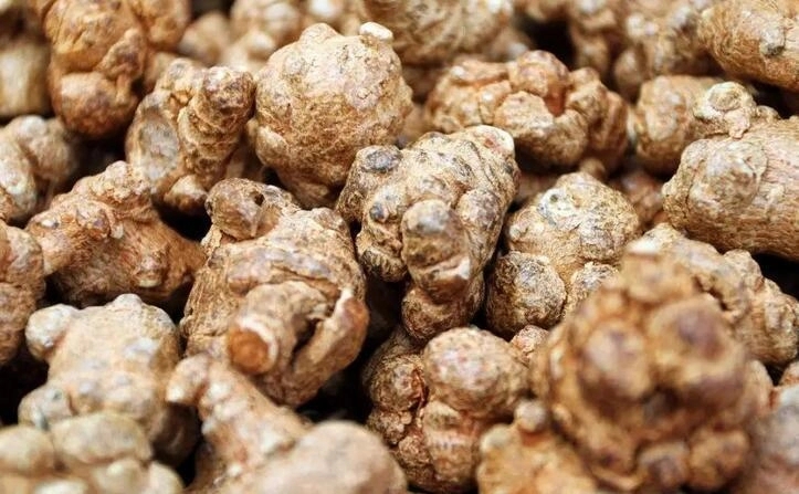 What Changes Will Happen to Our Body if We Insist on Taking a Spoonful of Panax Notoginseng Powder Every Day