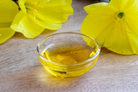 What Ingredients Make the Evening Primrose Pharmacologically a Good Helper for Our Body Functions