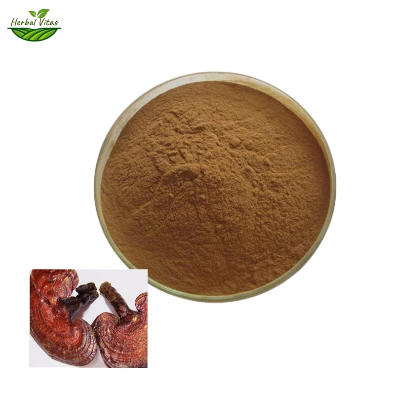 What is Lingzhi Spores Powder What is Lingzhi Spores Powder