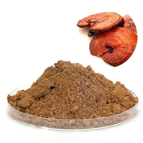 What is Reishi Mushroom Extract What is Reishi Mushroom Extract