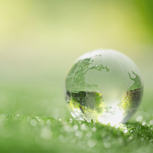 Sustainability of Organic Food Ingredients