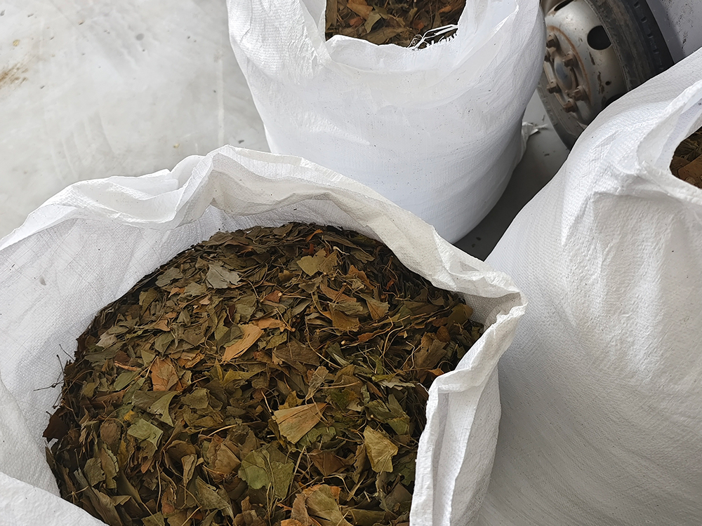 chinese herbs wholesale