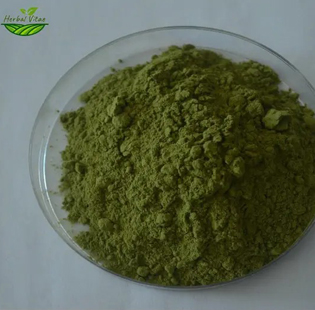 Prickly Lettuce Powder