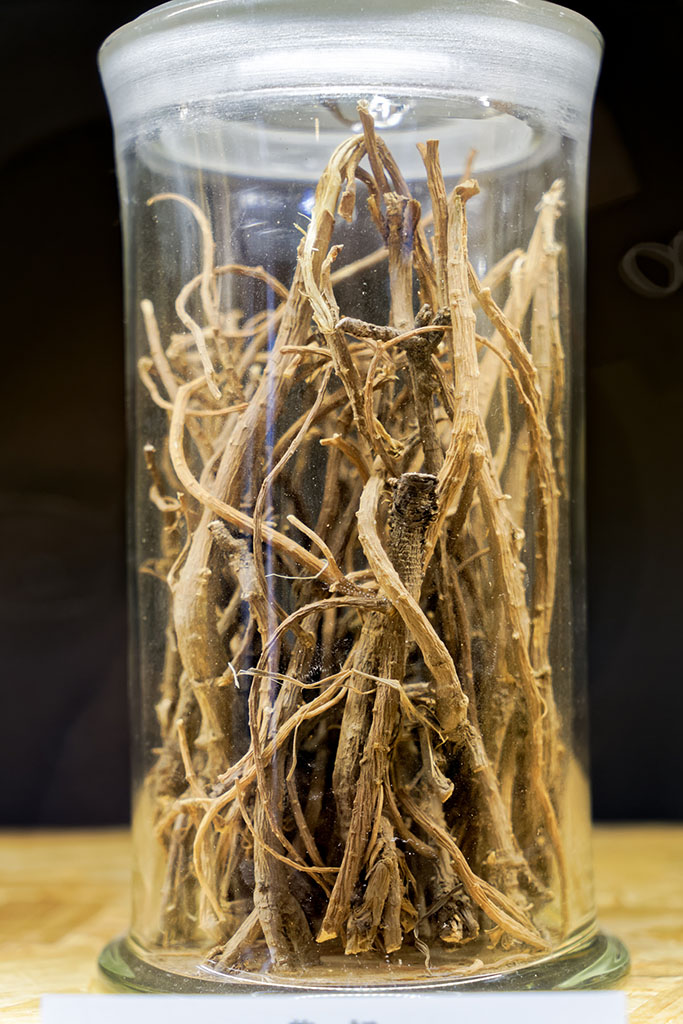 Chinese Thorowax Root Chinese Thorowax Root