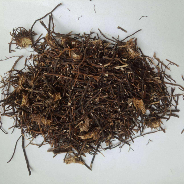 clematis root