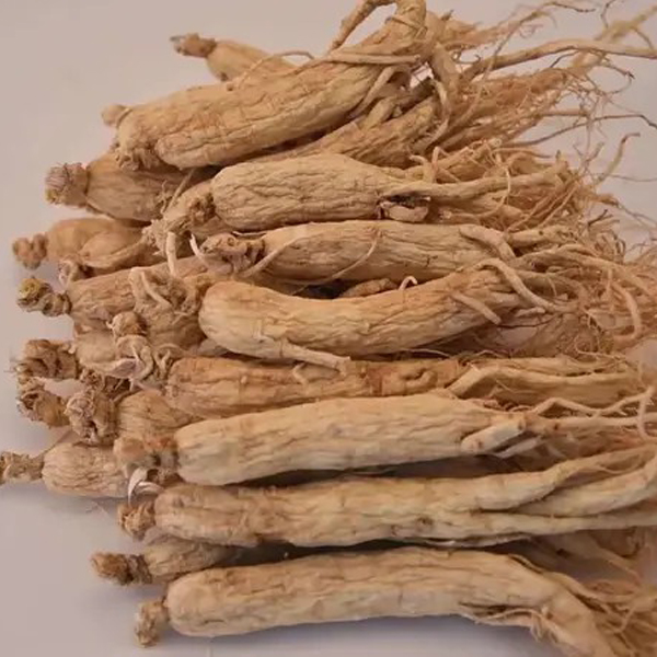 ginseng