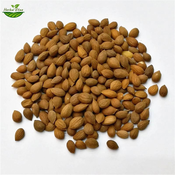 dwarf cherry tree seeds