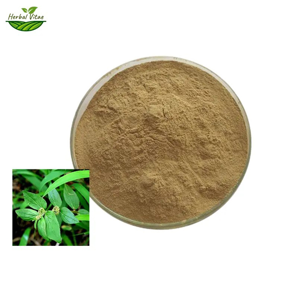 asthma plant powder