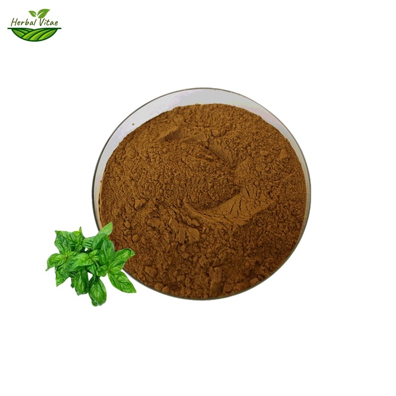 Basil Extract Powder