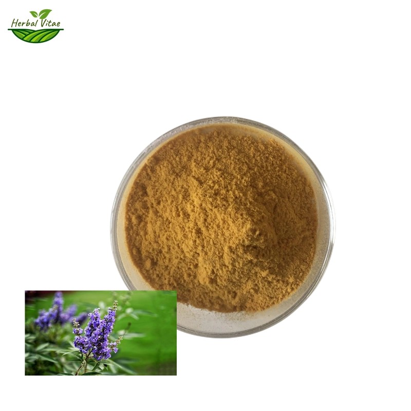 Chasteberry Extract Powder