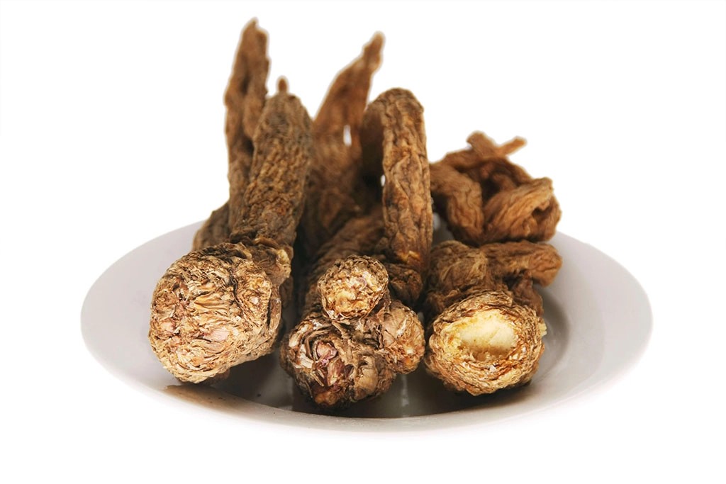 Chinese Angelica Herb Roots