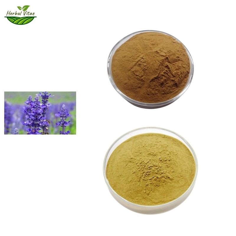 Common Sage Extract Powder