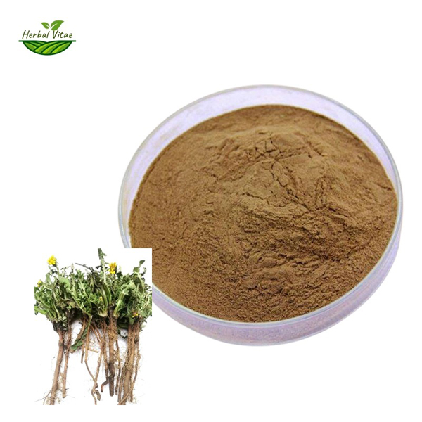 dandelion root extract