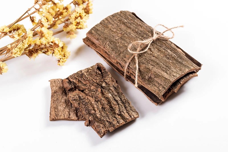 Eucommia Bark Eucommia Bark