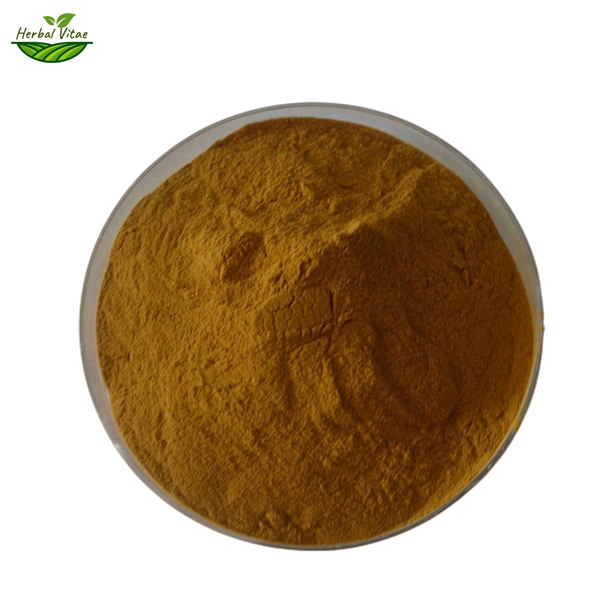 field horsetail extract