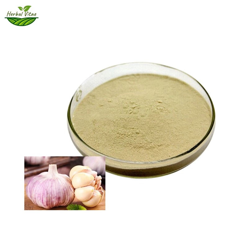 Garlic Extract Powder