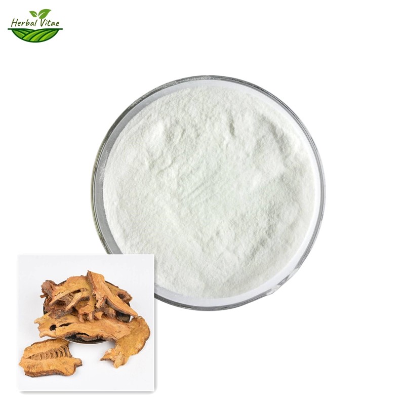 Giant Knotweed Rhizoma Extract Powder