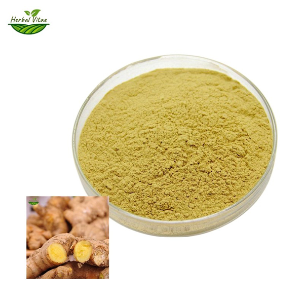 ginger extract powder