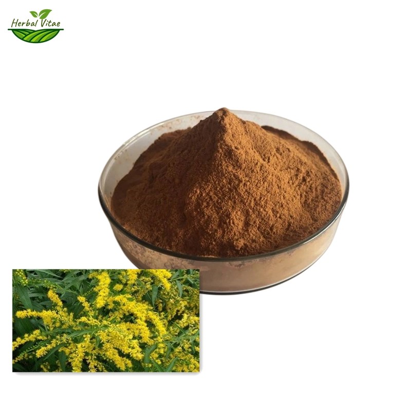 Goldenrod Extract Powder