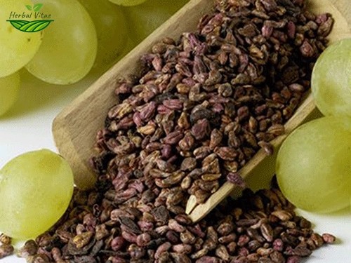 Grape Seed Extract Powder