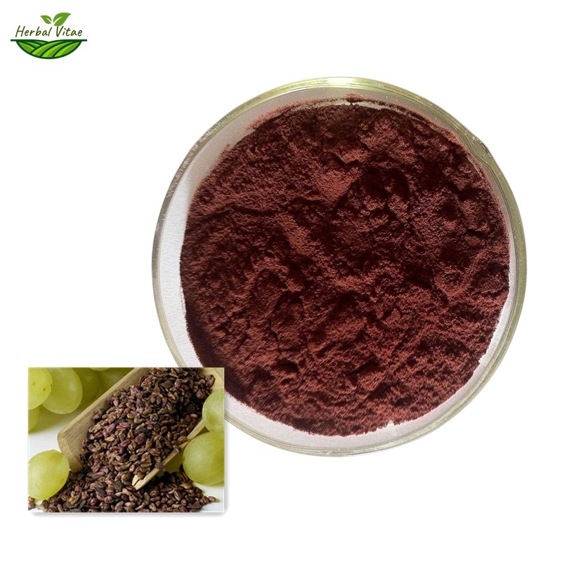 Grape Seed Extract Powder