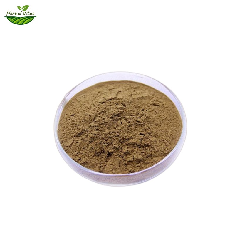 Hijiki Extract Powder