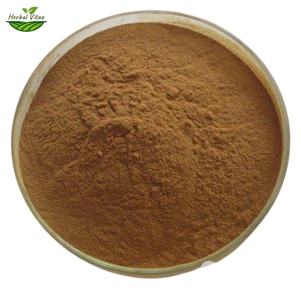 Holly Leaf Extract Powder