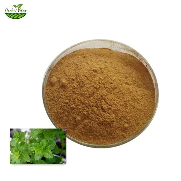 Lemon Balm Extact Powder