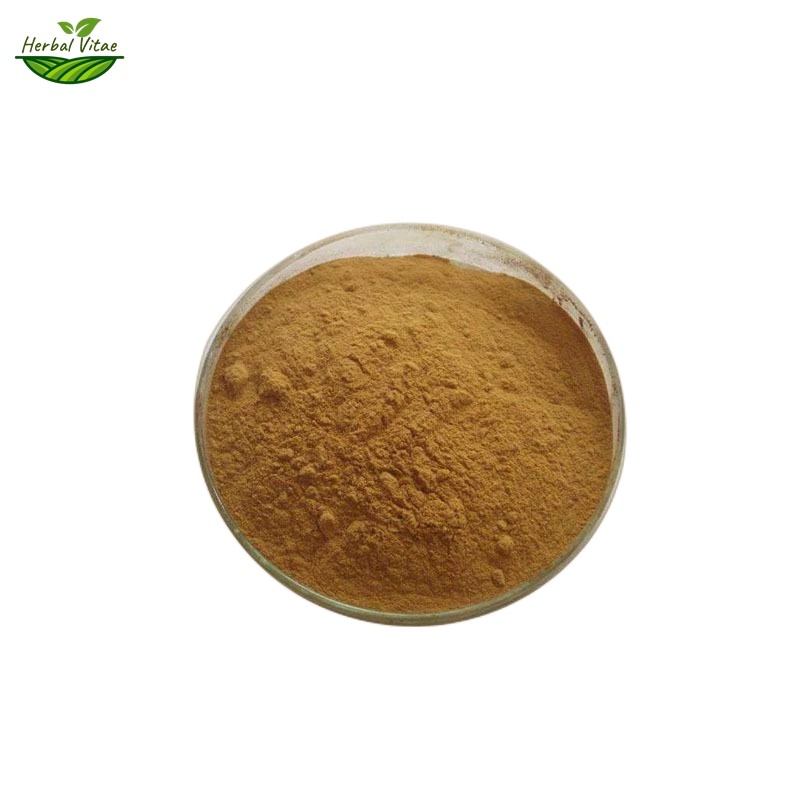 Lemon Balm Extact Powder