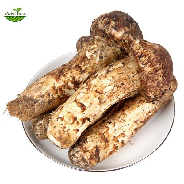 Matsutake Powder
