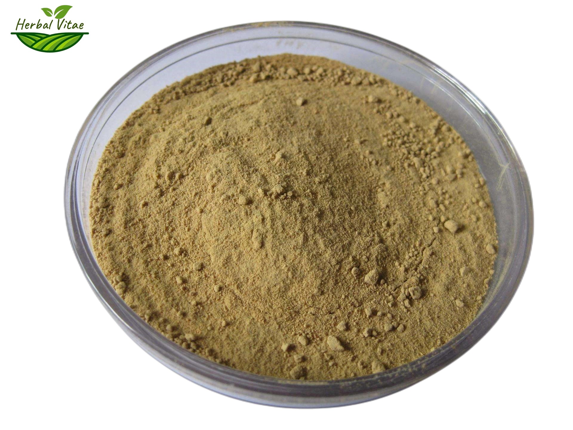 Red Clover Extract Powder