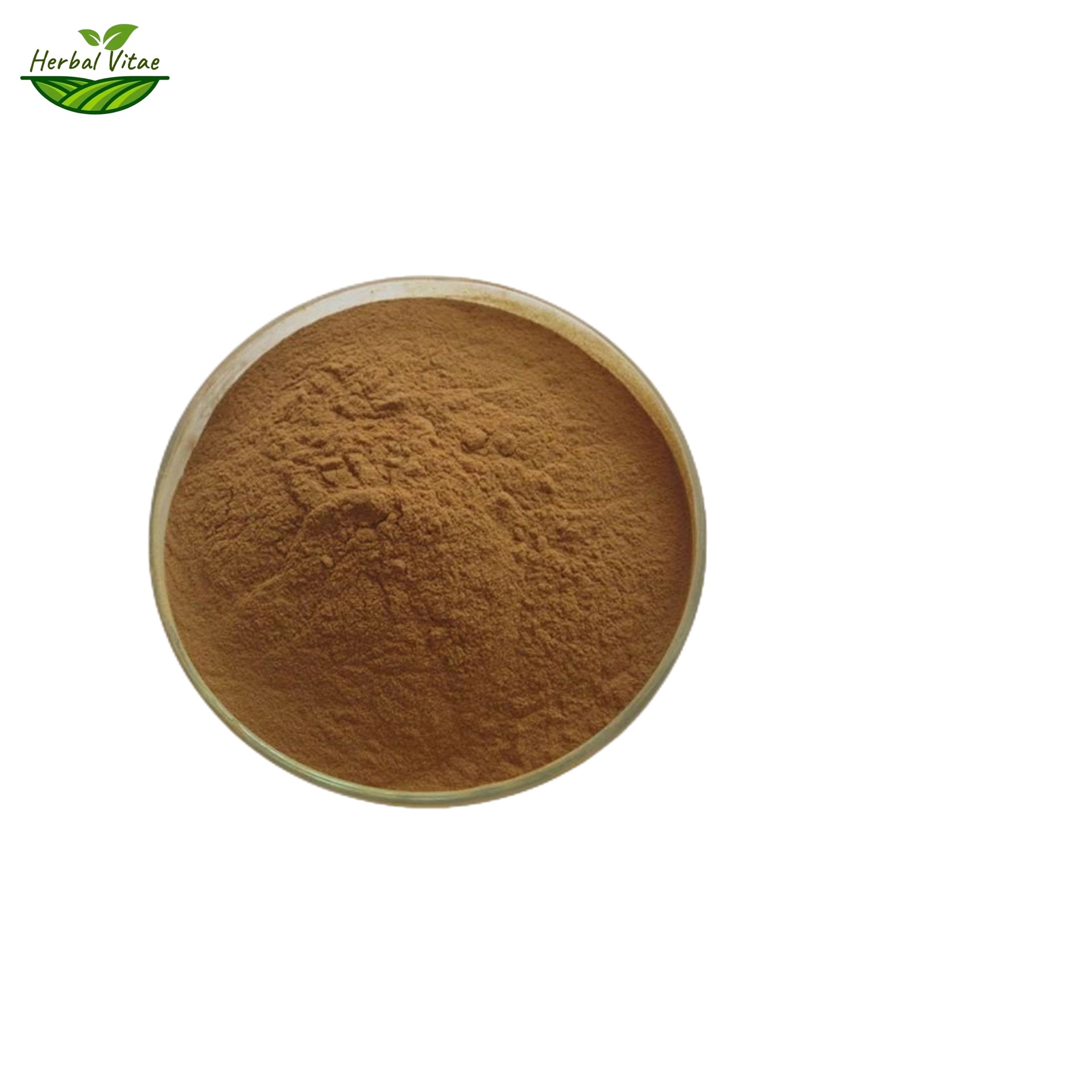 Reishi Mushroom Extract Powder