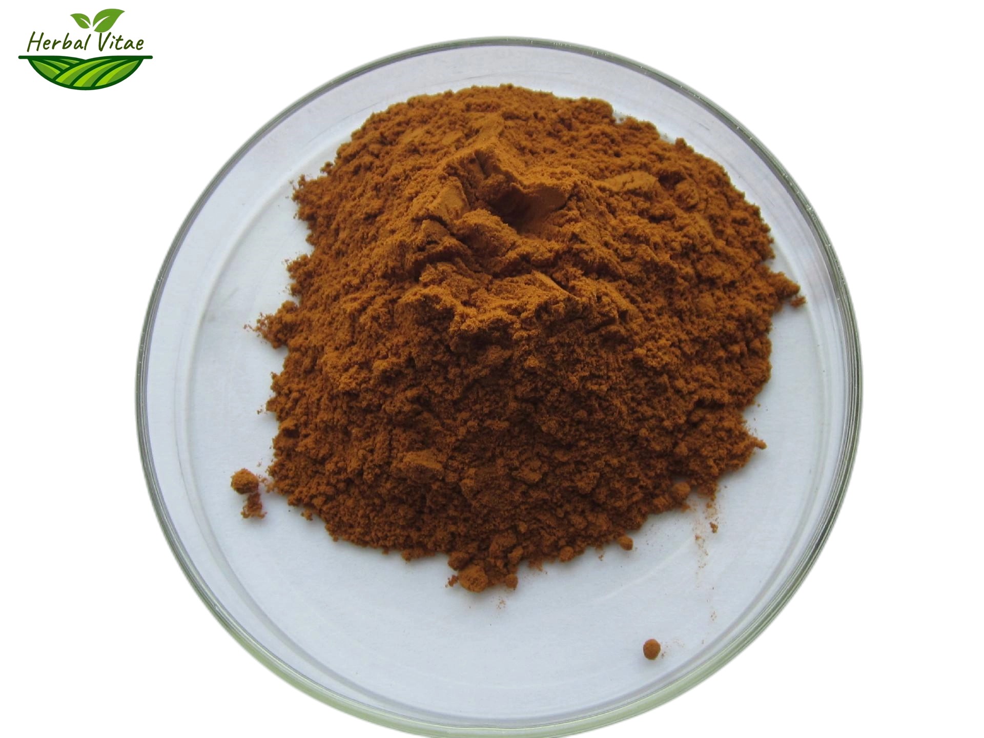 Rhodiola Rosea Extract Powder Rhodiola Rosea Extract Powder