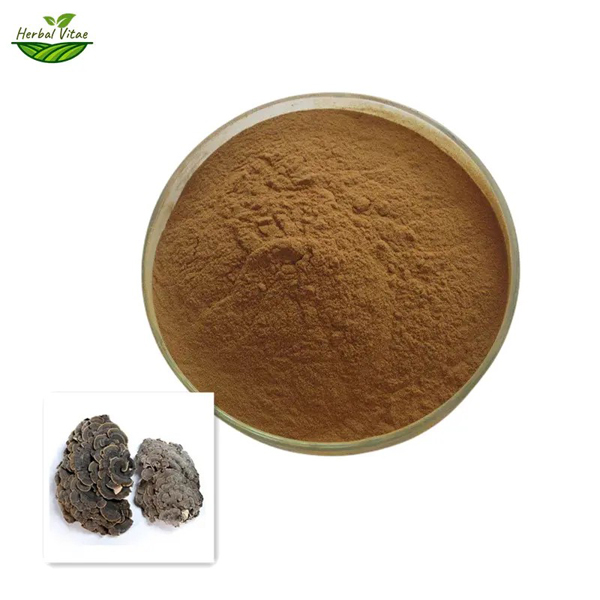 turkey tail extract powder