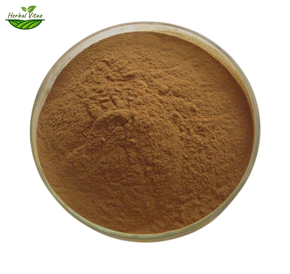 Turkey Tail Extract Powder