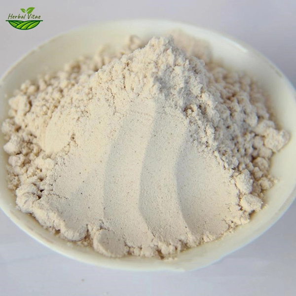 Umbrella Polypore Powder