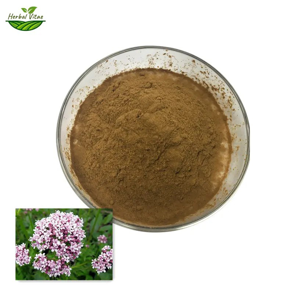 valerian extract powder